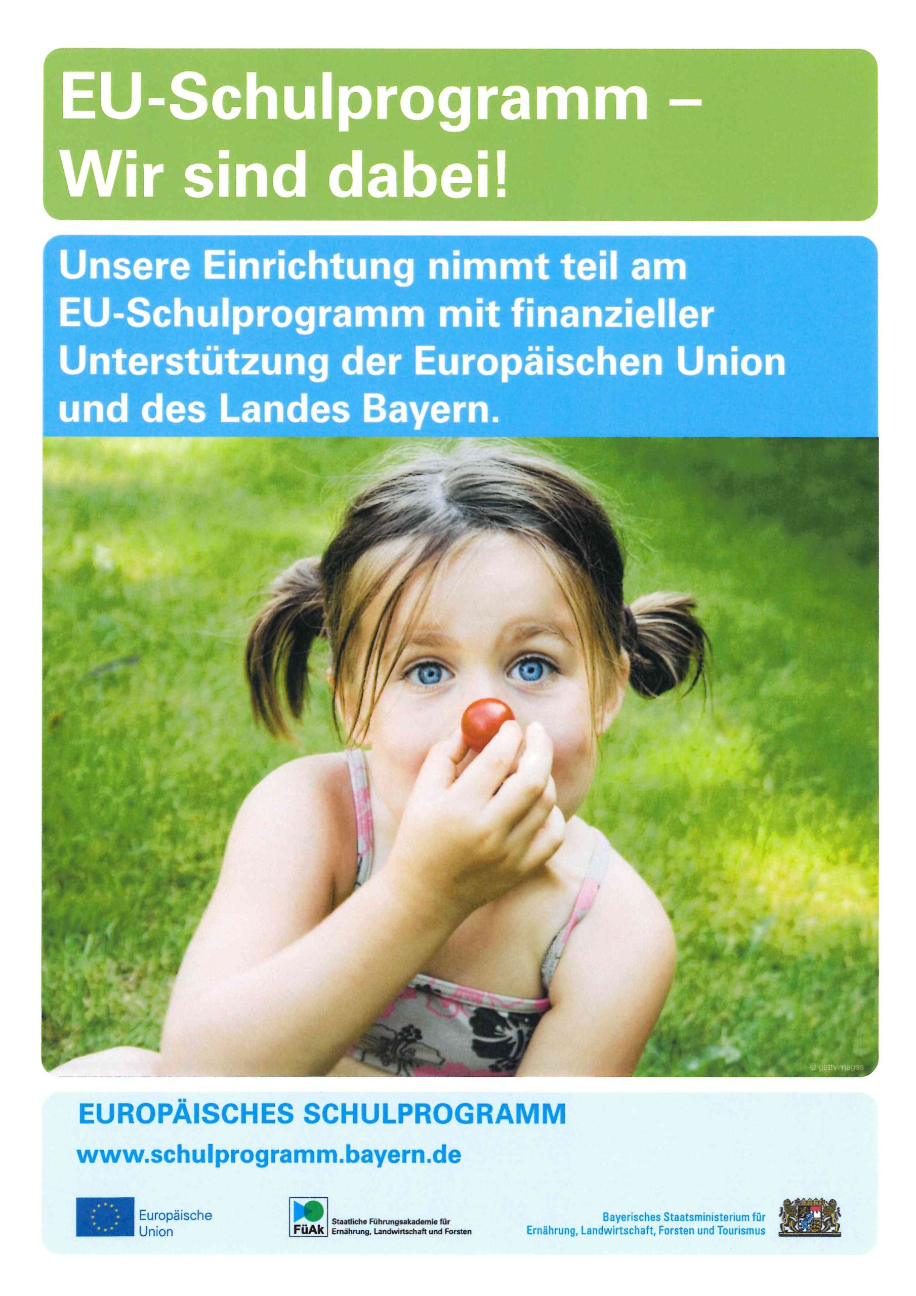 eu-schulprogramm
