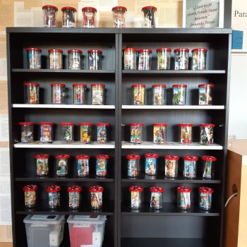 buecherei-ornbau-bild6-tonieregal