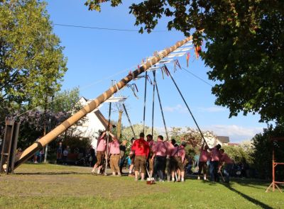 Maibaum wird aufgestellt